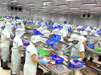 Đồng Tháp đặt mục tiêu có 35.000 doanh nghiệp hoạt động vào năm 2030