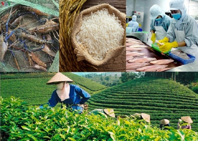 Nông sản Việt nâng chuẩn để vào sâu chuỗi cung ứng toàn cầu