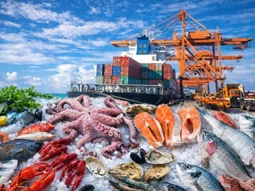 Vượt mốc 8 tỷ USD, thủy sản Việt vẫn lo áp lực từ Mỹ và EU