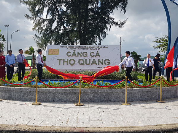 Đà Nẵng: Nghiên cứu chuyển đổi chức năng cảng cá Thọ Quang