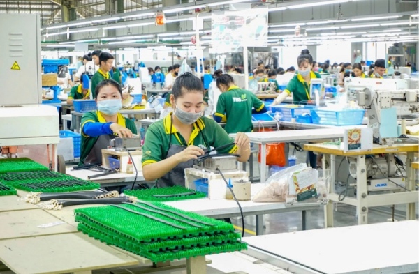 Thực hành ESG: Doanh nghiệp nhỏ và vừa cần lộ trình phù hợp, không chạy đua tiêu chuẩn