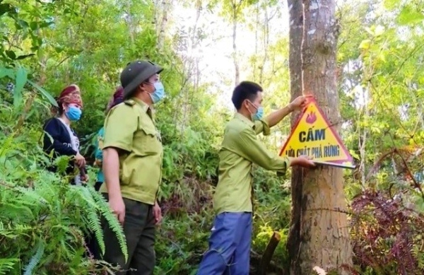 Quy định chống mất rừng của EU: Phép thử năng lực quản trị chuỗi cung ứng Việt Nam