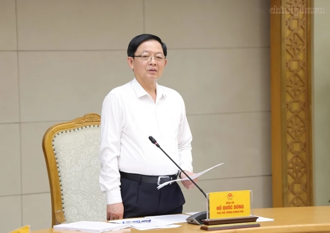 Phó Thủ tướng Hồ Quốc Dũng phát biểu tại cuộc họp. Ảnh: Chinhphu.vn.