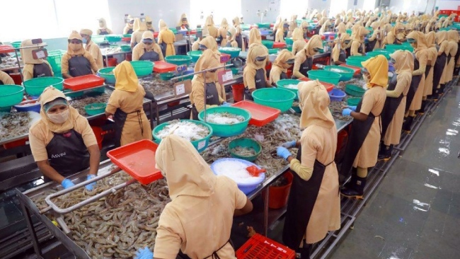 Xuất khẩu thủy sản có dấu hiệu chậm lại 

