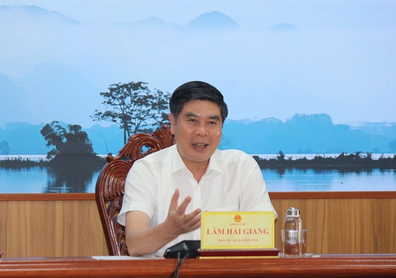 Phó Chủ tịch UBND tỉnh Gia Lai Lâm Hải Giang chia sẻ với báo chí.