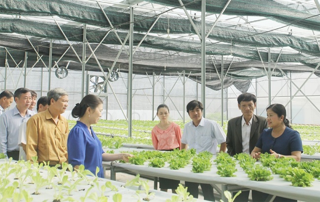 Đổi cách làm để các hợp tác xã chuyển đổi số hiệu quả 