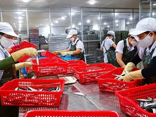 Đà Nẵng: 9 tháng xuất siêu hơn 245 triệu USD