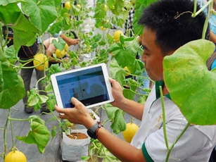 Hà Nội 'cầm tay chỉ việc' hỗ trợ nông dân, hợp tác xã chuyển đổi số