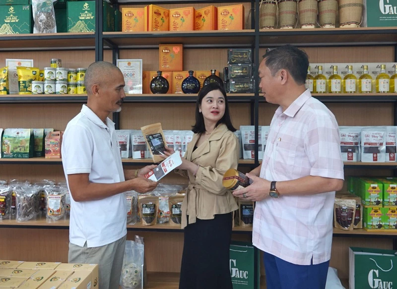Du khách tham khảo sản phẩm điểm trưng bày, giới thiệu sản phẩm OCOP tại ngã ba đường Lê Lợi – Anh Hùng Núp, thuộc khu vực Quảng trường Đại Đoàn Kết. 