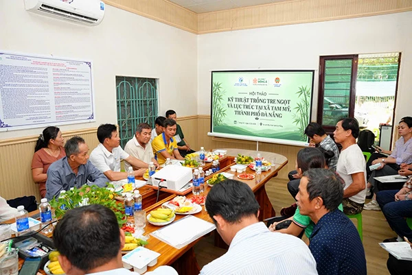 Hội thảo "Kỹ thuật trồng tre ngọt, lục trúc tại xã Tam Mỹ" do trường Đại học Đông Á phối hợp với UBND xã và Hội Nông dân xã Tam Mỹ tổ chức.