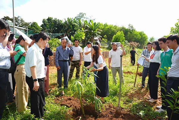 TS Phan Thu Thảo – Trưởng khoa Thực phẩm trường Đại học Đông Á trực tiếp hướng dẫn bà con nông dân kỹ thuật trồng trẻ ngọt và lục trúc.