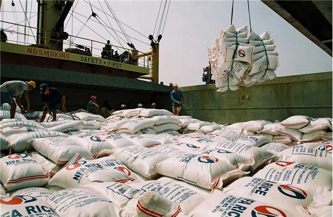 Gạo Việt đang dần mất thị trường?