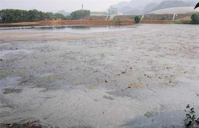 Công ty cổ phần mía đường Hòa Bình đã xả thẳng chất thải ra sông Bưởi. Ảnh: