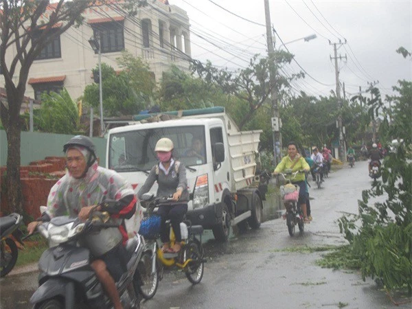 Nhiều trường cho học sinh nghỉ học để tránh bão.