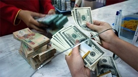 Phó Thống đốc NHNN Nguyễn Thị Hồng cho rằng, việc trần lãi suất gửi đôla để nâng cao sức hấp dẫn của VNĐ.