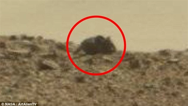 Trước đó, bức ảnh chụp lại hình ảnh con chuột trên sao Hỏa cũng đã được công bố bởi ông Joe White.