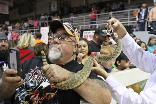 Lễ hội bắt rắn đuôi chuông ở vùng Sweetwater thu hút tới gần 40.000 khách du lịch.