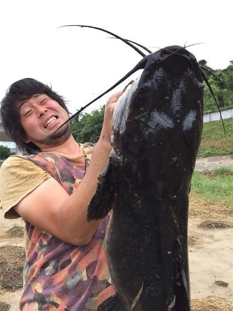 Con cá trê quá to và khỏe khiến Hiroshi Hirasaka phải rất vất vả mới lôi được con cá lên bờ.