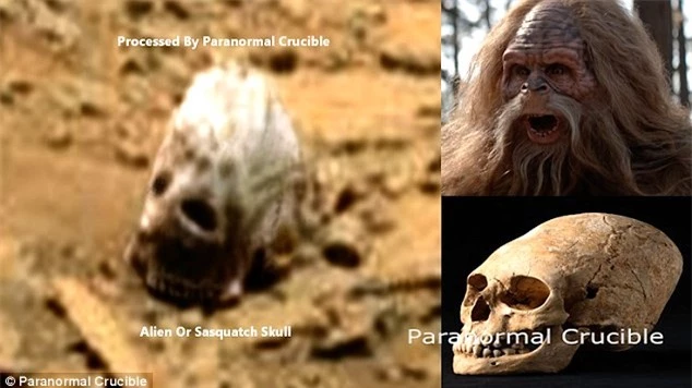 Hình ảnh hộp sọ của quái vật Sasquatch được NASA công bố.