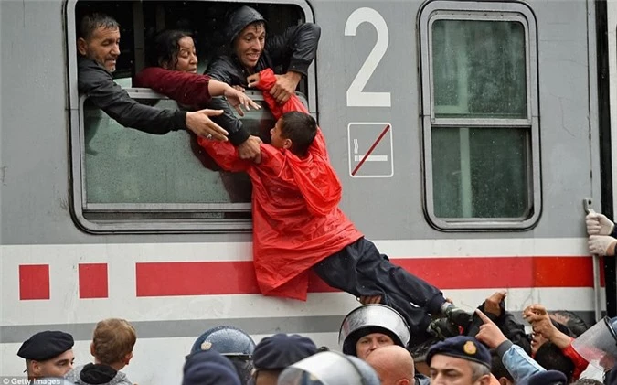 Người tị cố gắng kéo nhau để lên tàu trong dòng người chen chúc. Ảnh chụp tại Tovarnik, Croatia ngày 20/9. 