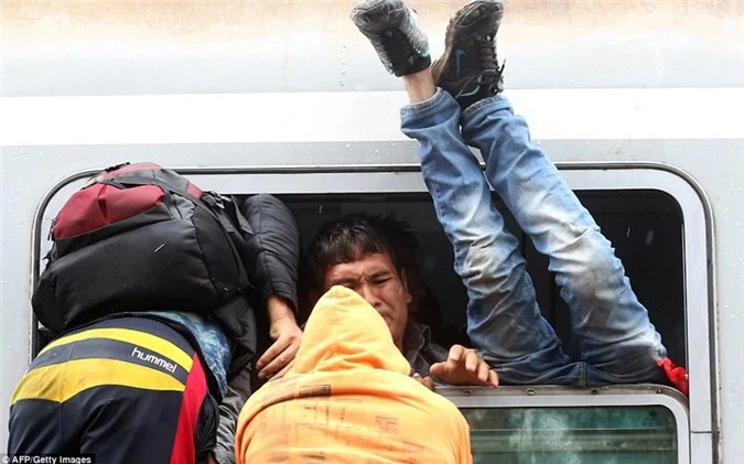 Người tị nạn cố gắng lên tàu bằng mọi giá để đến được vùng đất hứa. Ảnh chụp tại Tovarnik, Croatia ngày 20/9.