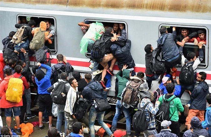 Người tị nạn giành giật lên chuyến tàu đã quá tải trạm Tovarnik, Croatia. 
