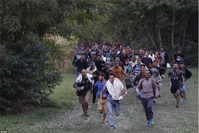 Người tị nạn vội vàng chạy băng qua biên giới Croatia- Hungary vào ngày 20/9.