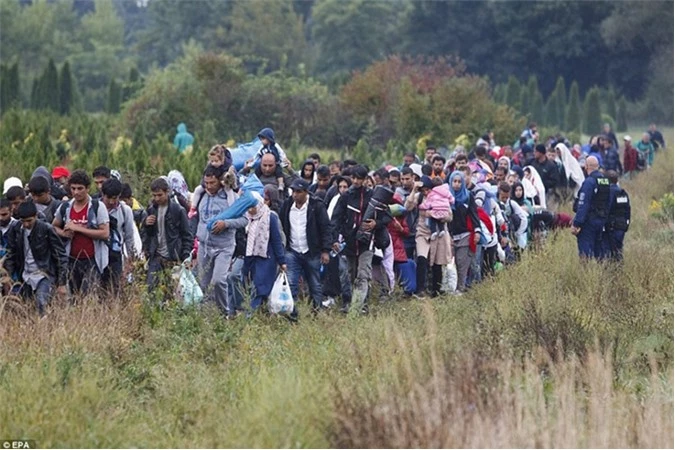 Cảnh sát dẫn người tị nạn về phía nhà ga đường sắt tại thị trấn biên giới Serbia-Hungary ngày 20/9. 