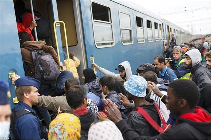 Người tị nạn chen nhau lên tàu ở biên giới Hungary- Serbia.