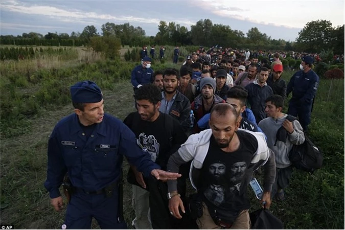 Cảnh sát Hungary cố gắng để kiểm soát một nhóm người di cư khi họ vượt qua biên giới từ Croatia. 