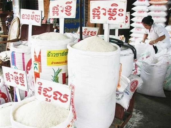 Một cửa hàng bán gạo ở Campuchia.