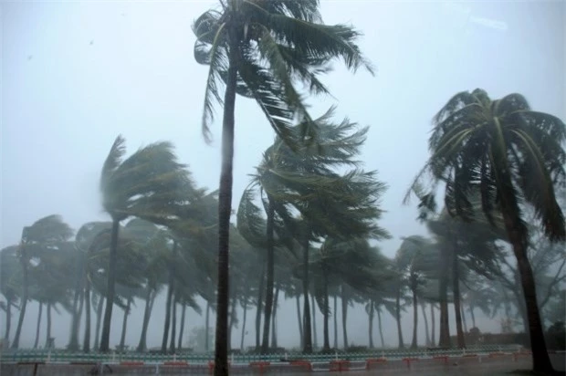 Cây đổ và nước ngập ở Trạm Giang. Mujigae là cơn bão thứ 22 đổ bộ vào Trung Quốc trong năm nay.