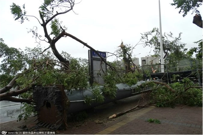 Một con đường ở Trạm Giang lúc bão về hôm 4/10.