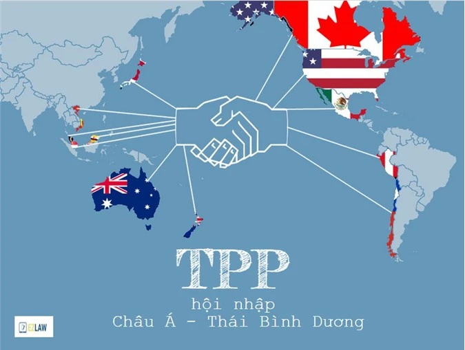 TPP sẽ loại bỏ 18.000 thuế quan đối với hàng hóa Mỹ, đồng thời mở ra cơ hội cho mọi đối tượng từ các nhà sản xuất tôm của Việt Nam cho tới chủ nông trại bò sữa của New Zealand cơ hội tiếp cận giá rẻ hơn với các thị trường ở khắp khu vực Thái Bình Dương.