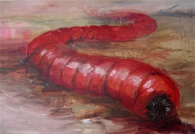 Khám phá sâu tử thần giết người bằng luồng điện siêu mạnh