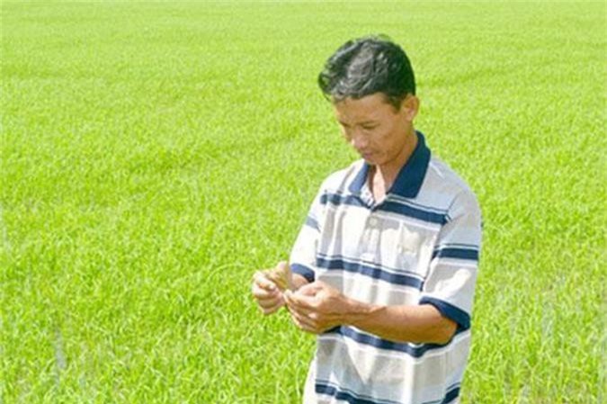 Hậu Giang: Vị giám đốc giúp thành viên đi lên từ HTX