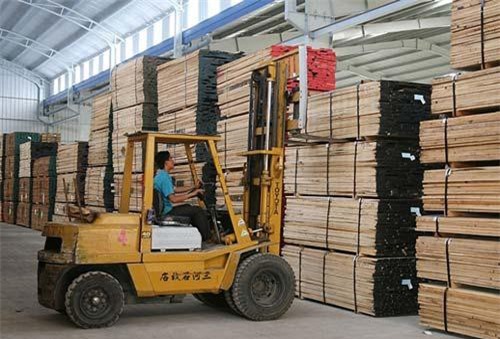 Hình thành chuỗi liên kết chế biến gỗ - Cơ hội phát triển bền vững