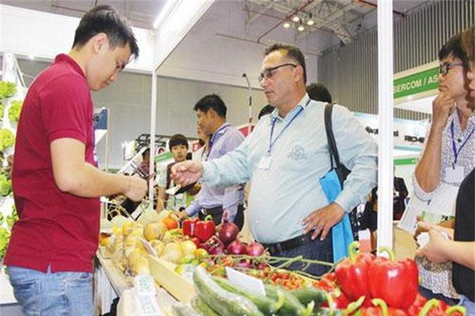 Thừa Thiên - Huế: Độc quyền nhãn hiệu thu lợi lớn cho HTX