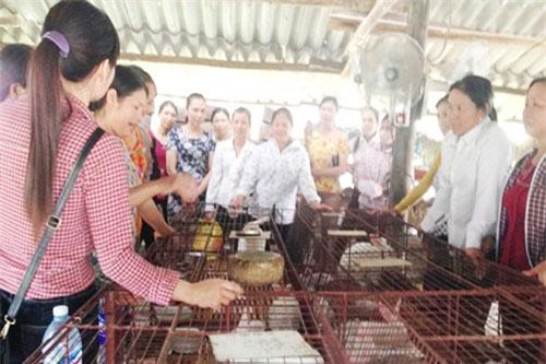 Bắc Giang: HTX là nơi phụ nữ khởi nghiệp