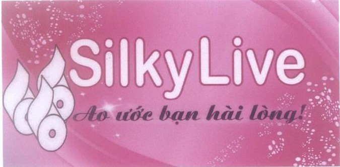 Gia Lai: Tạm giữ hơn 11.000 lốc giấy vệ sinh có dấu hiệu giả mạo nhãn hiệu SilkyLive