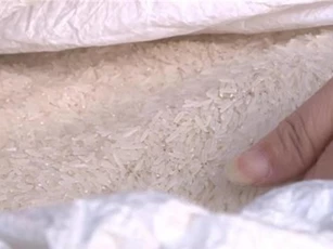 Ngành lúa gạo Thái Lan gặp nhiều khó khăn