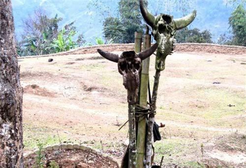 Những câu chuyện kỳ bí về vùng đất treo đầu lâu trâu khắp nơi ở Hà Giang