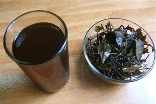 Những sai lầm cần tránh khi uống nhân trần