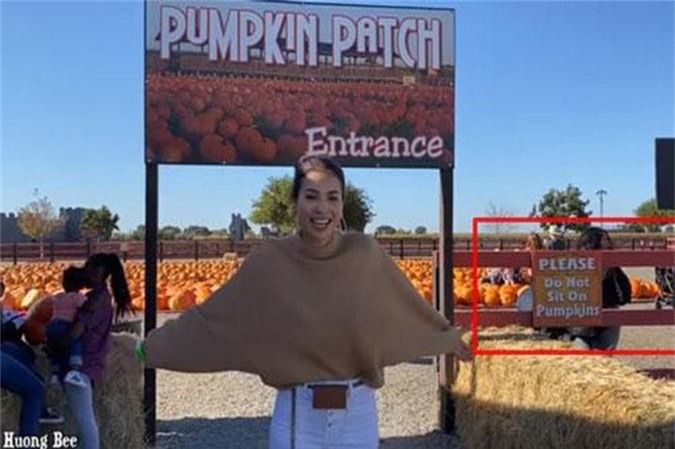 Phạm Hương và những mỹ nhân Việt bị chỉ trích kém văn minh nơi công cộng