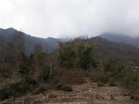 Thực hư ngôi mộ vua Mông 'mình đồng da sắt' ở Mù Căng Chải