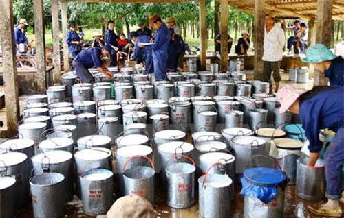 Xuất khẩu nông sản duy trì ổn định trong khó khăn