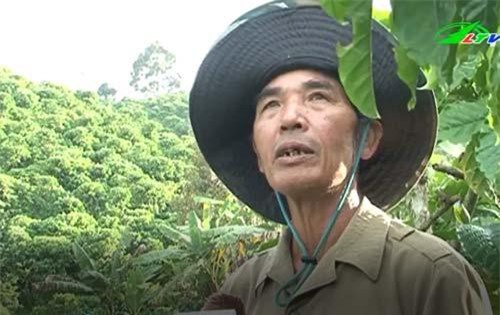 Lâm Đồng: Thương binh làm giàu từ mô hình đa canh