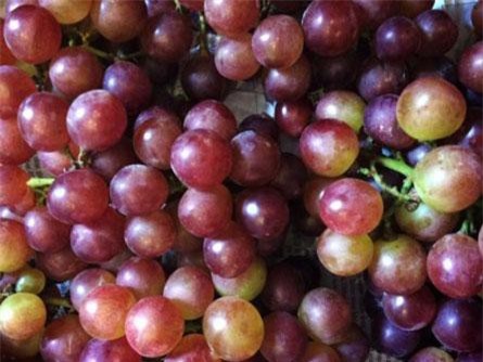 Những điều nên biết về hạn sử dụng của rau quả