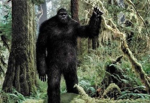 Vì sao Bigfoot là bí ẩn khó giải nhất mọi thời đại?