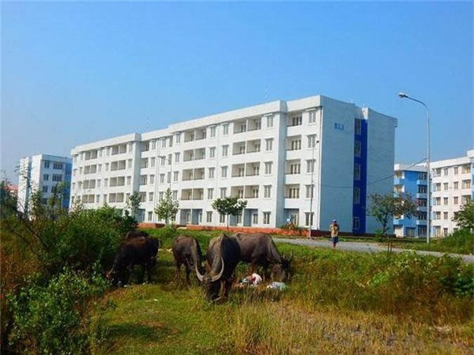 TP.HCM: Giao UBND quận, huyện là nơi quản lý nhà đất phục vụ tái định cư